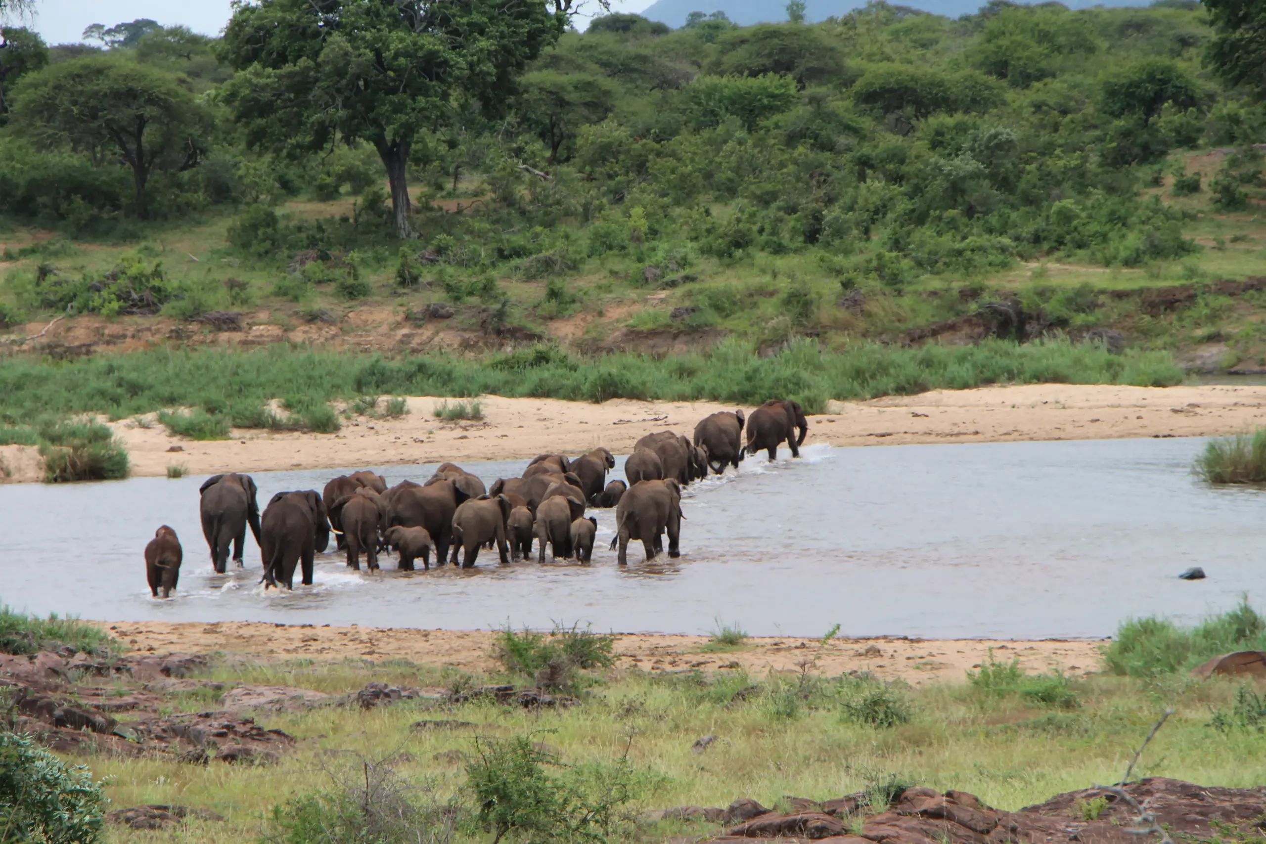 Safari Kruger National Park desde Maputo