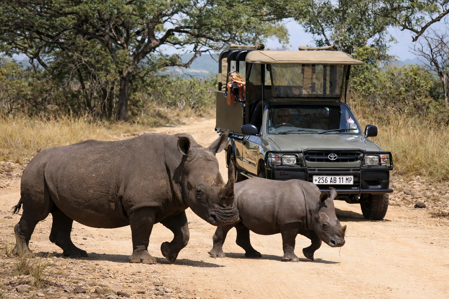 : Dormir dentro o fuera del Kruger National Park comparativa real de alojamiento para safari