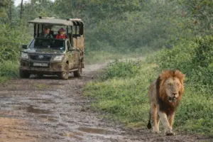 cuanto cuesta un safari al kruger desde kmia