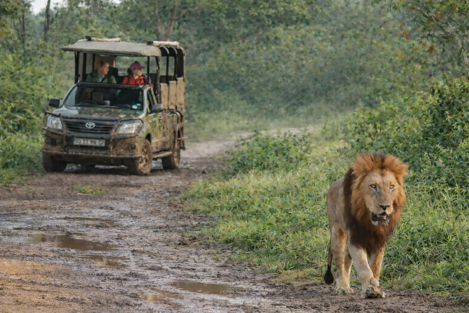 cuanto cuesta un safari al kruger desde kmia